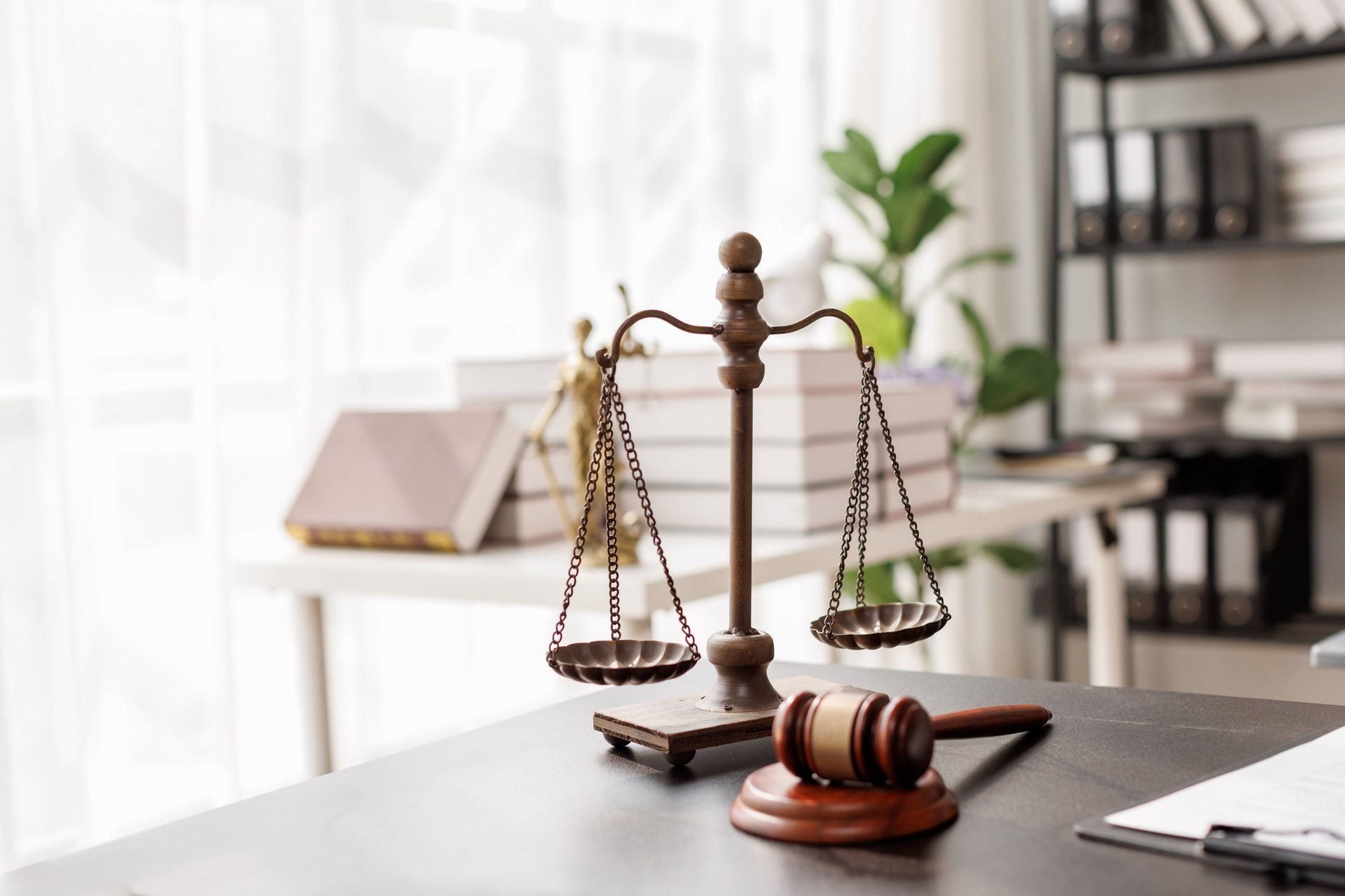 Professional legal environment