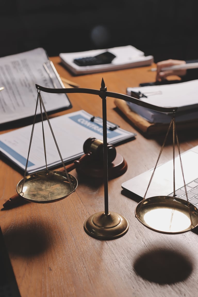 Magnus Law attorney providing legal consultation